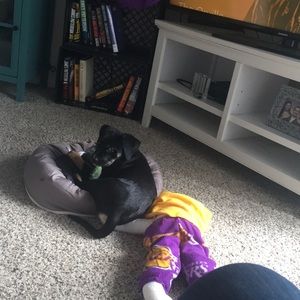 Meet your Posher, Diana